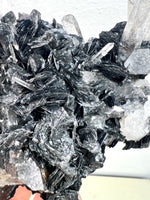 Black Rosette Hematite in Quartz Cluster no.9