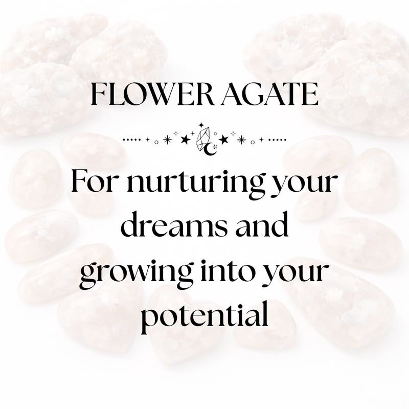 Flower Agate Crystal Display for Growth and New Beginnings