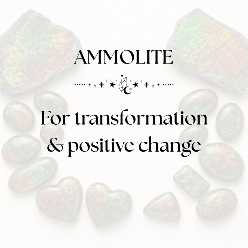 Natural Ammolite Crystals – Vibrant Colourful Specimens for Abundance and Transformation