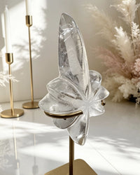 Clear Lemurian Northern Star On Stand No. 5