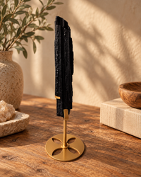 Raw Black Tourmaline On Gold Stand