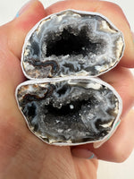 Mini Agate Geodes