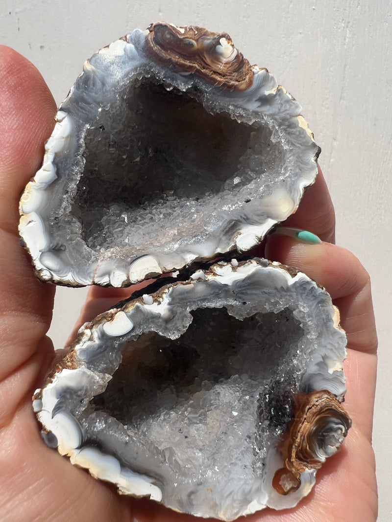 Agate Geodes Large size