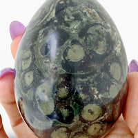 Rainforest Jasper XL Egg 989