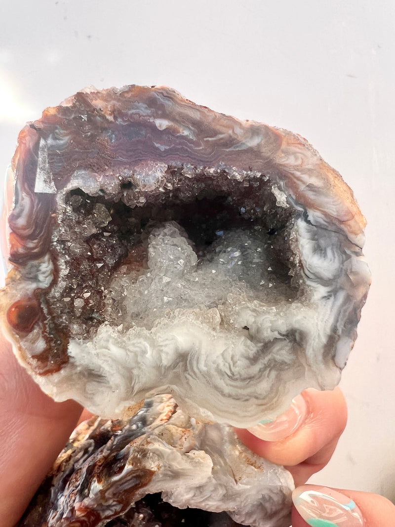 Agate Geodes Large size