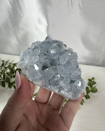 Celestite Crystal Cluster – AA Grade No. 3