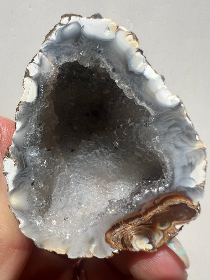 Agate Geodes Large size