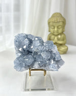 Celestite Crystal Cluster – AA Grade No. 2