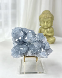 Celestite Crystal Cluster – AA Grade No. 2