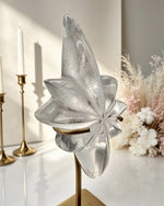 Clear Lemurian Northern Star On Stand No. 9