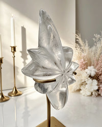 Clear Lemurian Northern Star On Stand No. 9