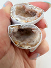 Mini Agate Geodes