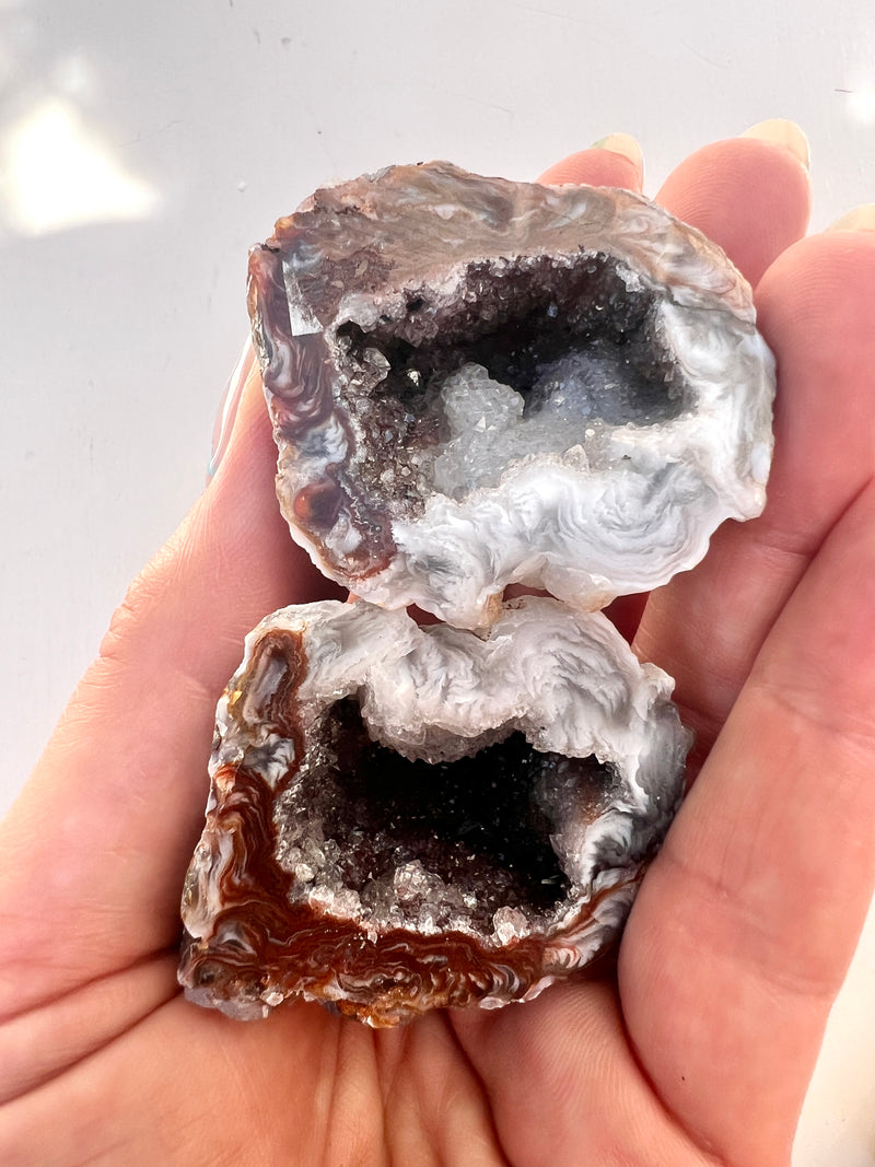 Agate Geodes Large size