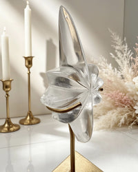 Clear Lemurian Northern Star On Stand No. 7