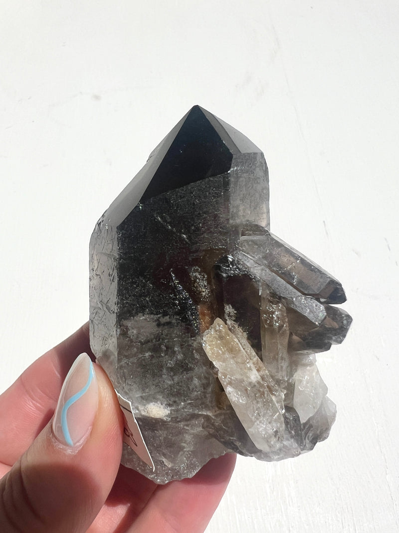 Naturally formed Smoky Quartz Point Large Size