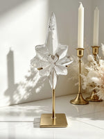 Clear Lemurian Northern Star On Stand No. 11