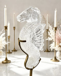 Clear Quartz Seahorse On Stand
