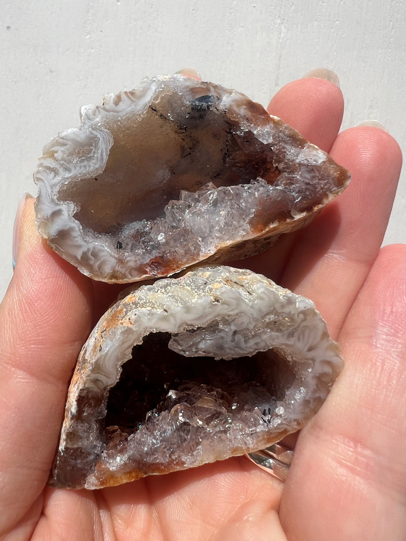 Agate Geodes Large size