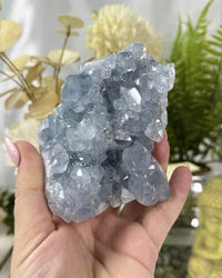 Celestite Crystal Cluster – AA Grade No. 2