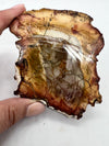 Petrified Wood Slab - The Spirit Stone