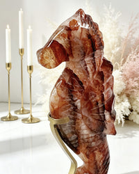 Fire Quartz Seahorse On Stand