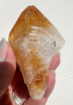 Citrine Dog Tooth