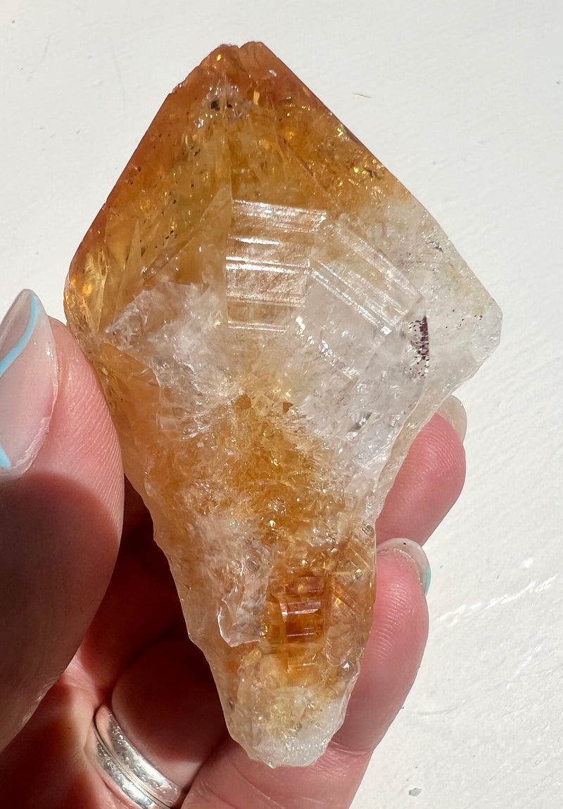 Citrine Dog Tooth