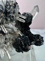 Black Rosette Hematite in Quartz Cluster no.5