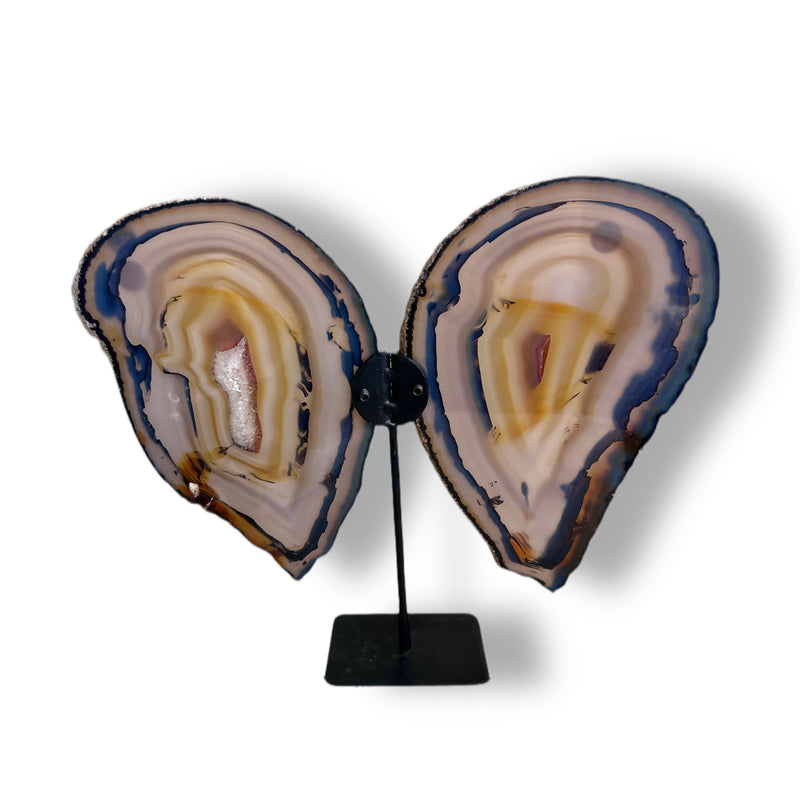 Agate Point wings