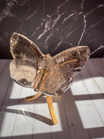 Smoky Lemurian Butterfly 1