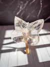 Clear Lemurian Butterfly 2