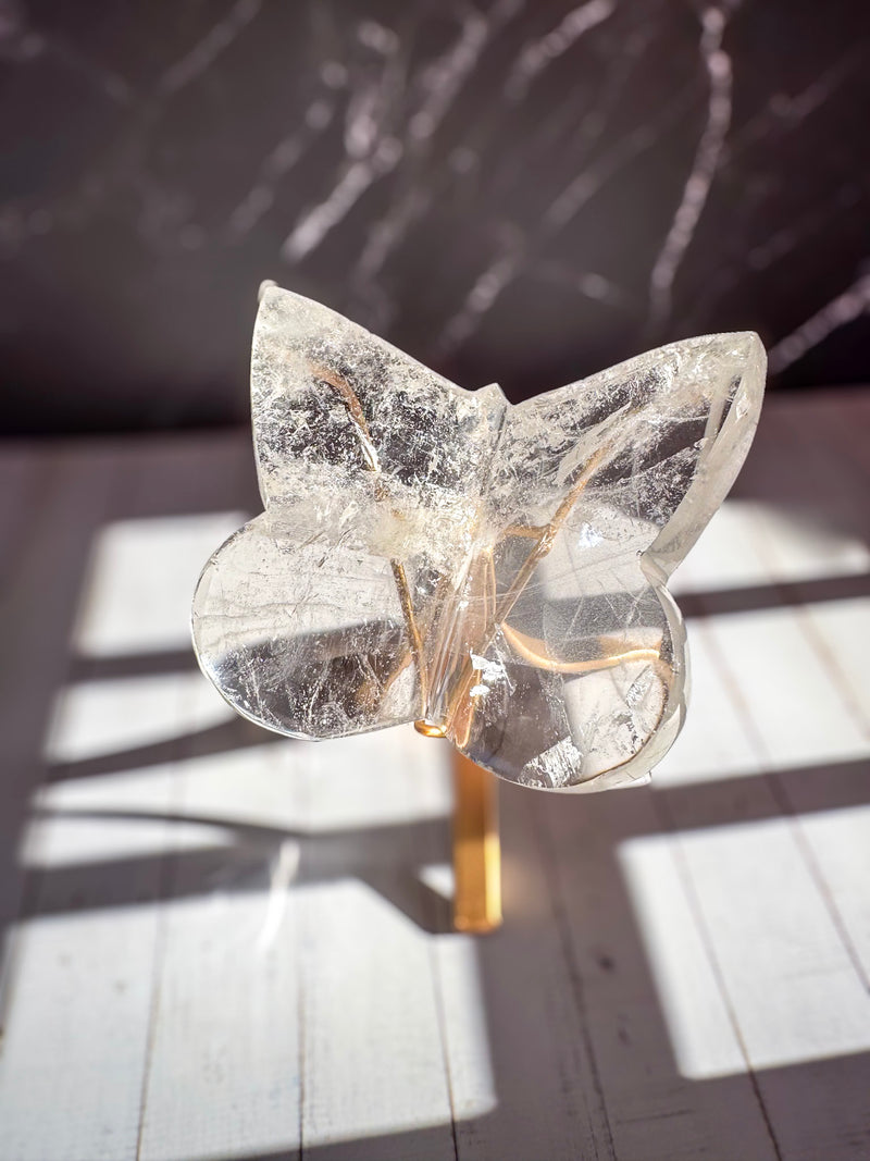 Clear Lemurian Butterfly 2