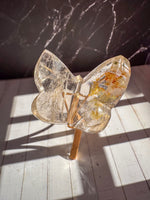 Light Smoky Lemurian With Golden Healer Butterfly 3