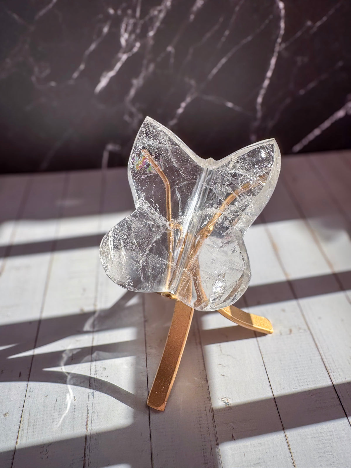 Clear Lemurian Butterfly 4