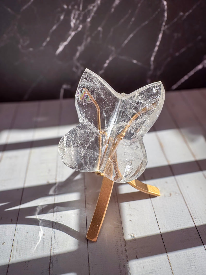 Clear Lemurian Butterfly 4
