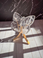 Clear Lemurian Butterfly 5