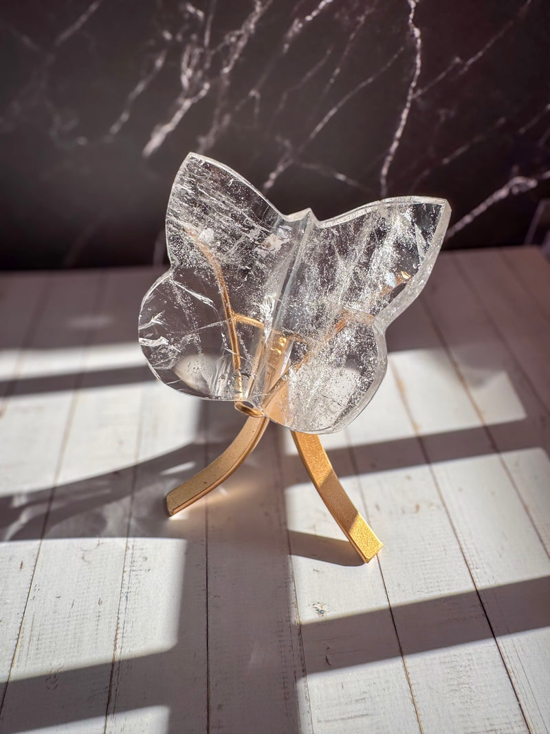 Clear Lemurian Butterfly 5