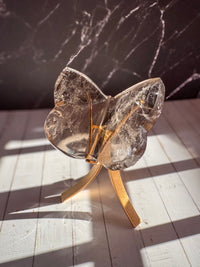 Smoky Lemurian Butterfly 6
