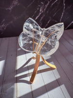 Clear Lemurian Butterfly 10