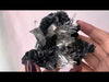 Black Rosette Hematite in Quartz Cluster no.5
