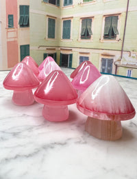 Red onyx mushrooms