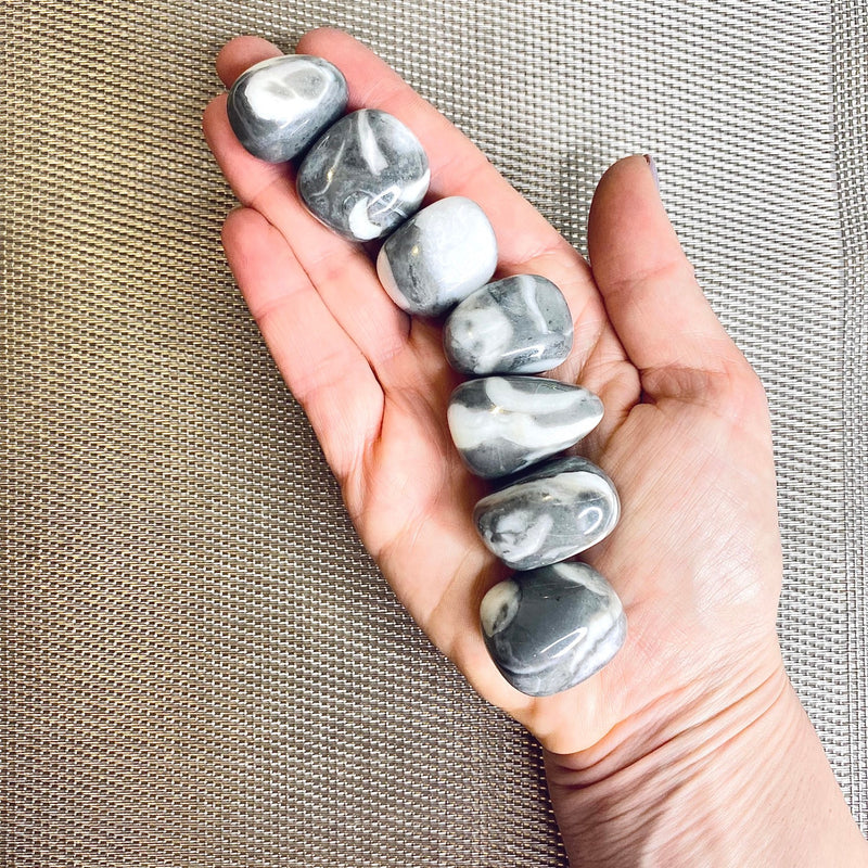 Jasper Shell Tumbled Stone
