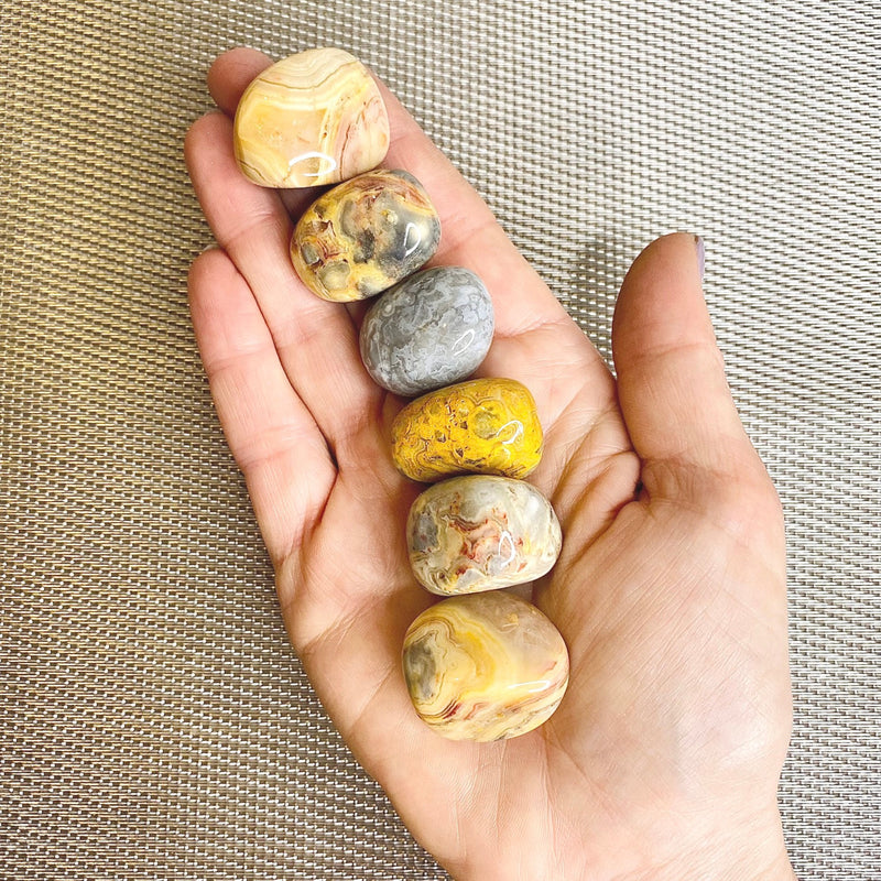 Crazy Lace Agate Tumbled Stones