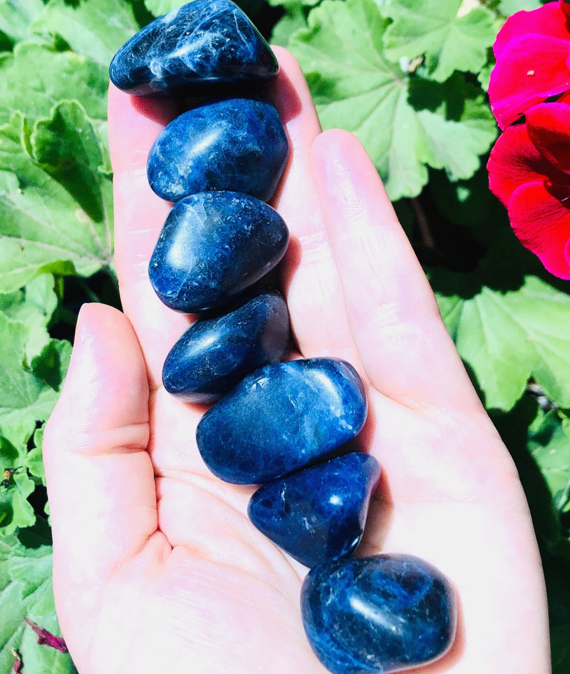Sodalite Tumbled Stone