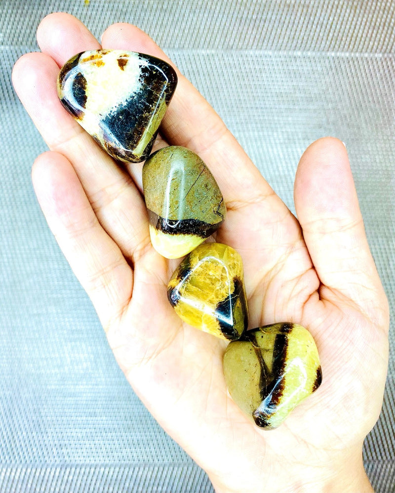 Septarian Tumbled Stone - The Healing Energy Stone