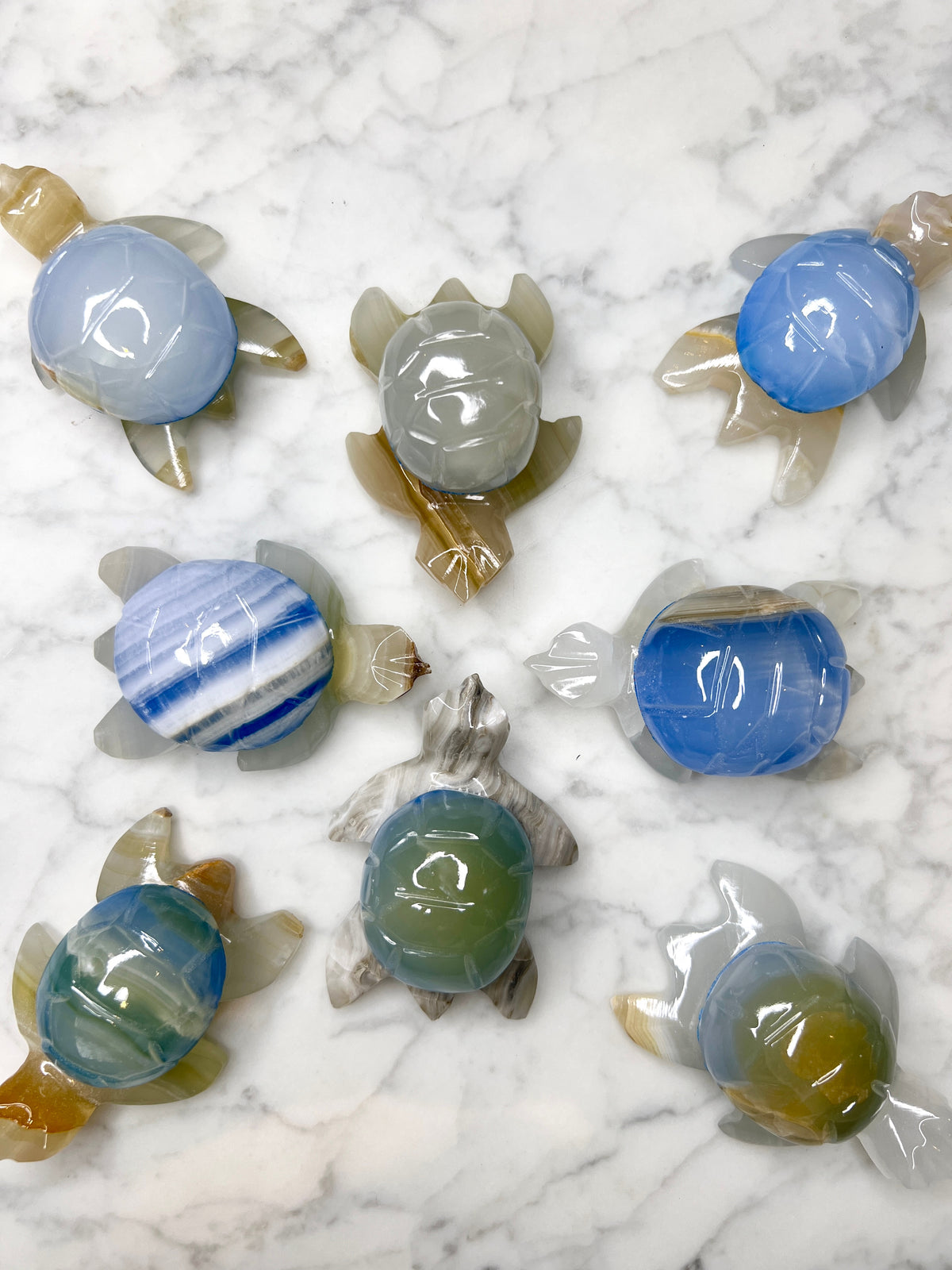 Blue Onyx Turtle