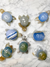 Blue Onyx Turtle