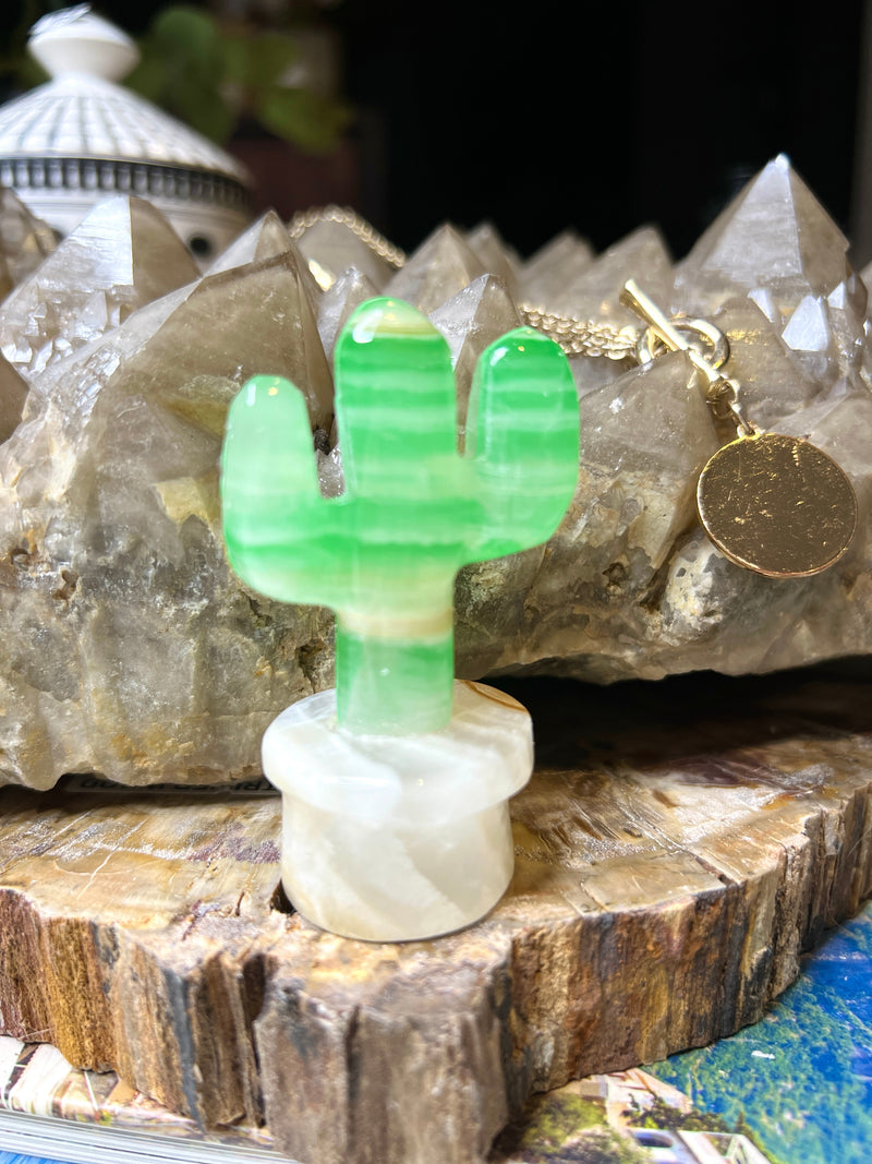 Onyx Cactus - The playful stone