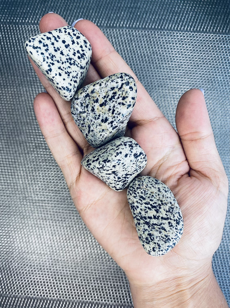 Dalmatian Tumbled Stone - The Inner Child Stone
