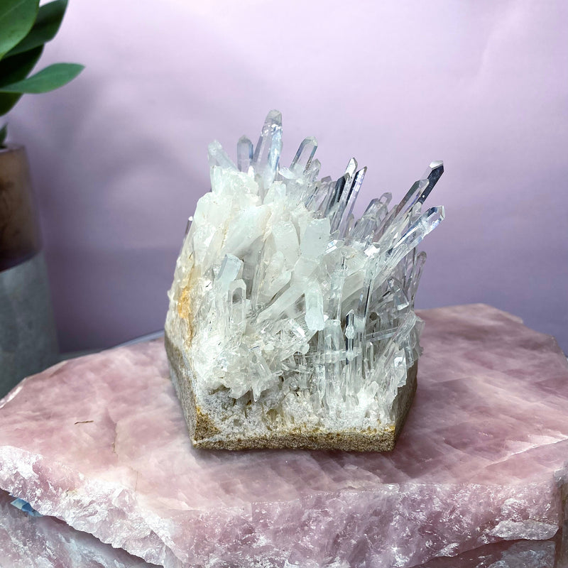 301 - Colombian Diamond Needle Quartz Cluster